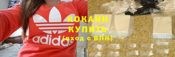 Альфа ПВП Бородино