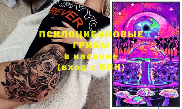 Альфа ПВП Бородино