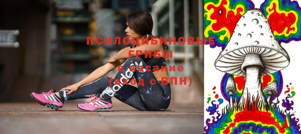 Альфа ПВП Бородино