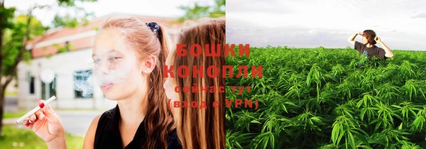 Альфа ПВП Бородино