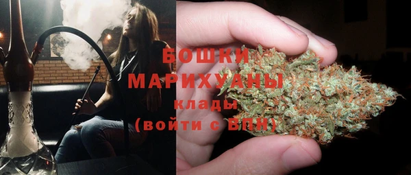 Альфа ПВП Бородино
