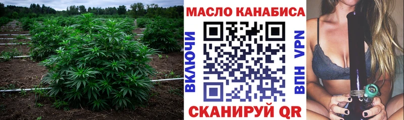ТГК THC oil  OMG вход  Альметьевск  цены наркотик 